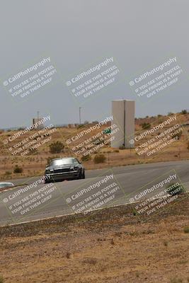 media/May-03-2025-Lucky Dog Racing (Sat) [[206de64b9d]]/Turn 6 (150pm-230pm)/